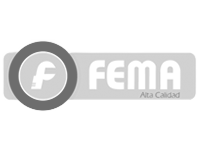 Inicio Fema